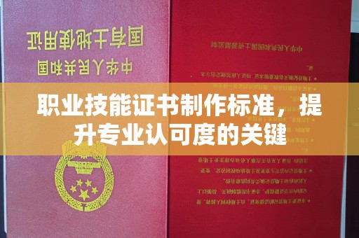海兴职业技能证书制作标准，提升专业认可度的关键
