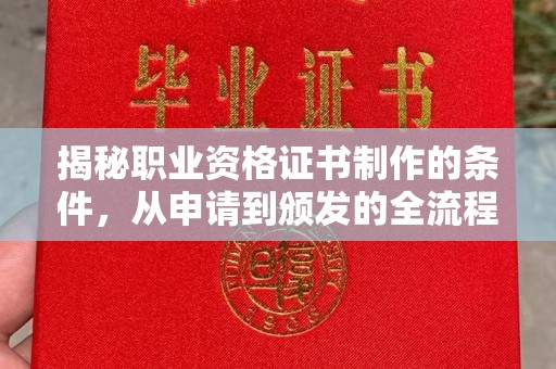 海兴揭秘职业资格证书制作的条件，从申请到颁发的全流程解析