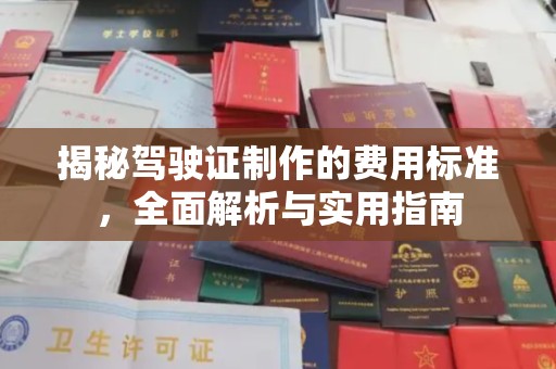 海兴揭秘驾驶证制作的费用标准，全面解析与实用指南