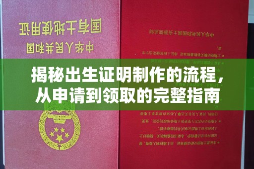 海兴揭秘出生证明制作的流程，从申请到领取的完整指南