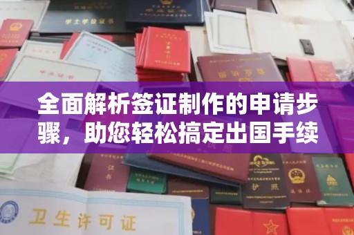 海兴全面解析签证制作的申请步骤，助您轻松搞定出国手续