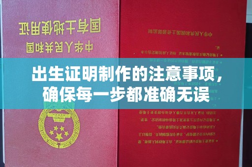 海兴出生证明制作的注意事项，确保每一步都准确无误