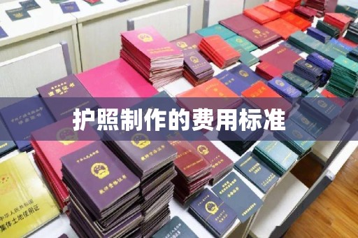 海兴护照制作的费用标准
